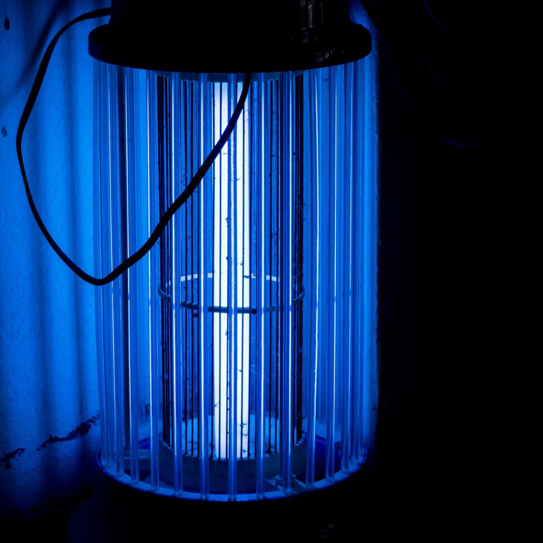 Insect trap